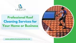 Professional Roof Cleaning Services for Your Home or Business