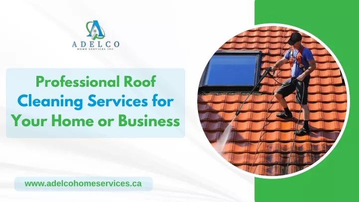 professional roof cleaning services for your home