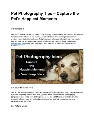 Pet Photography Tips – Capture the Pet's Happiest Moments