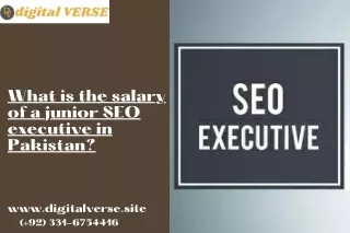 What is the salary of a junior SEO executive in Pakistan