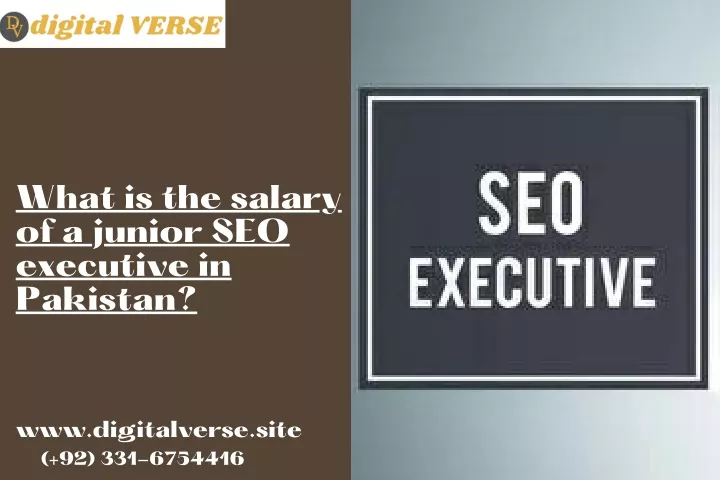 what is the salary of a junior seo executive