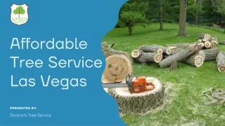 Get the Best Tree Care in Las Vegas Without Breaking the Bank