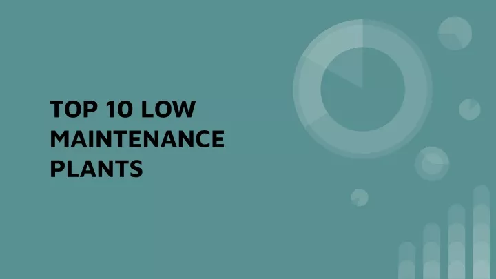 top 10 low maintenance plants