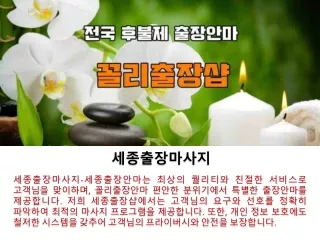 세종출장마사지