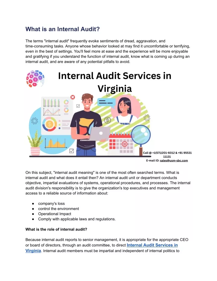 what is an internal audit