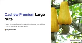 cashew premium large nuts