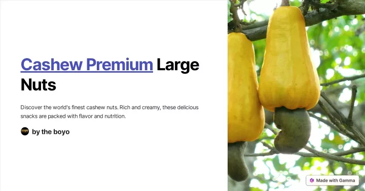 cashew premium large nuts