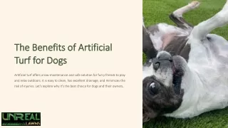 The Benefits of Artificial Turf for Dogs