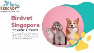 Exotic Pet Wellness clinic Singapore - Birdvet Singapore