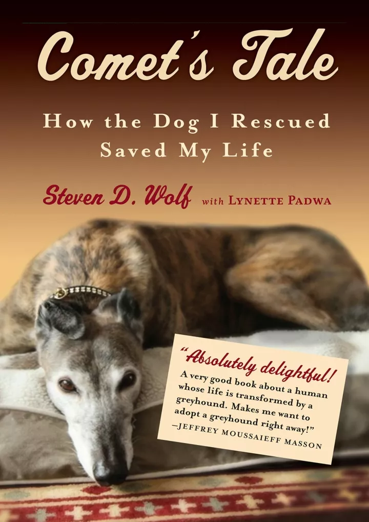 comet s tale how the dog i rescued saved my life