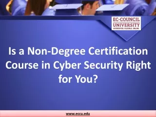 Is a Non-Degree Certification Course in Cyber security Right for You?