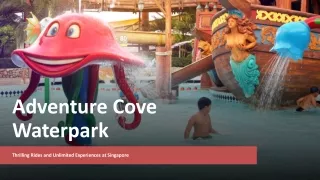 Adventure Cove Waterpark
