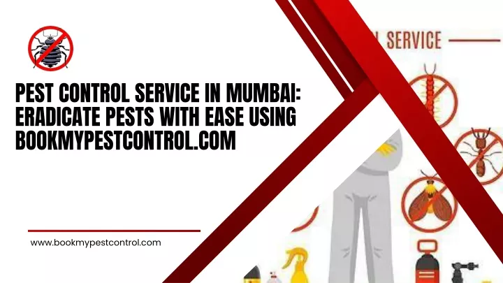 pest control service in mumbai eradicate pests