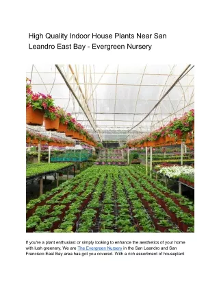 High Quality Indoor House Plants Near San Leandro East Bay - Evergreen Nursery
