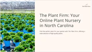 The Plant Firm Your Online Plant Nursery in North Carolina