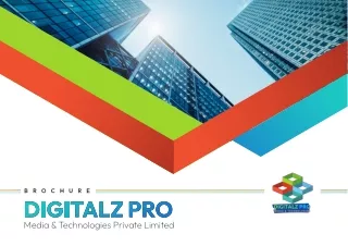Digitalz Pro Company Profile