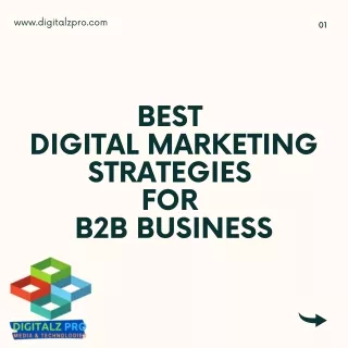 Best Digital Marketing Strategies for B2B Business (1)