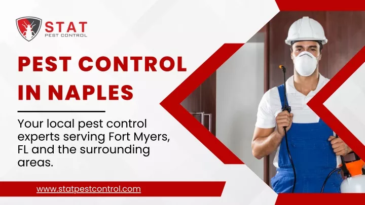 pest control in naples