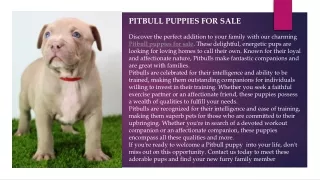 pitbull puppies for sale.