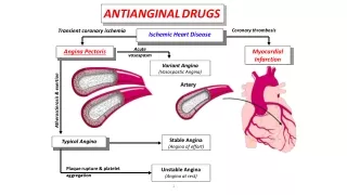 Cardiovascular drugs -2