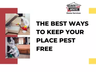 THE BEST WAYS TO KEEP YOUR PLACE PEST FREE