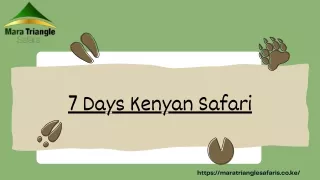 7 Days Kenyan Safari - Mara Triangle Safaris