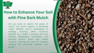 how to enhance your soil with pine bark mulch