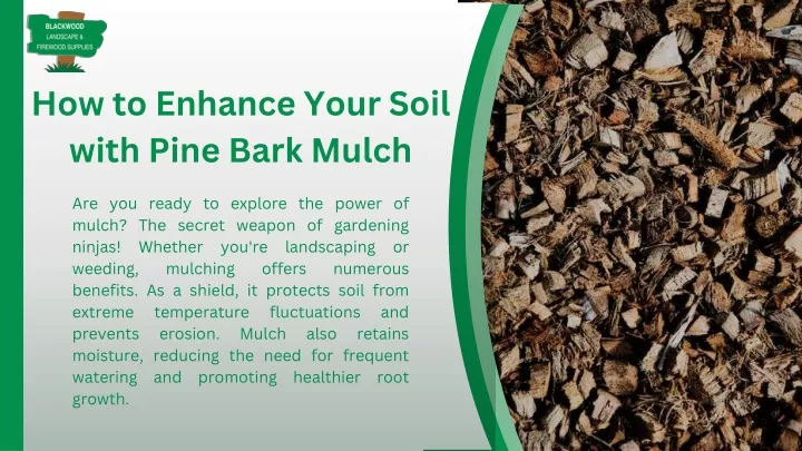 how to enhance your soil with pine bark mulch