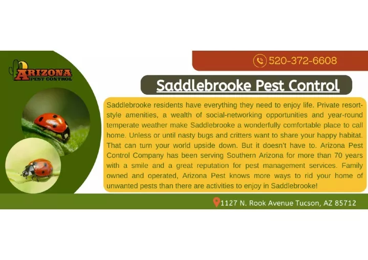 PPT Saddlebrooke Pest Control AZP PowerPoint Presentation, free