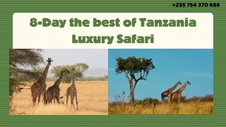 8-Day the best of Tanzania Luxury Safari