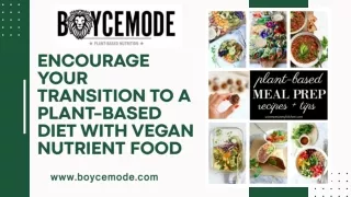 Encourage Your Transition to a Plant-Based Diet with Vegan Nutrient Food