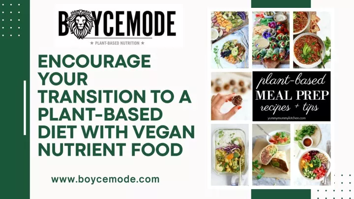 encourage your transition to a plant based diet