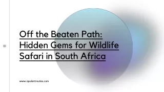 Off the Beaten Path Hidden Gems for Wildlife Safari in South Africa