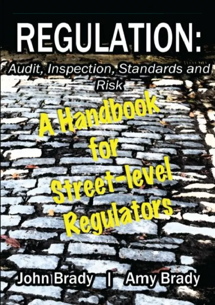 regulation audit inspection standards and risk