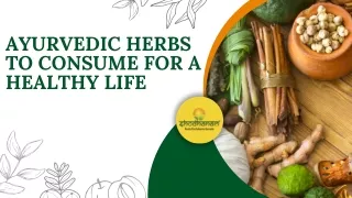 Ayurvedic Herbs To Consume For a Healthy Life