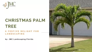 Festive Delight for Landscaping: The Christmas Palm Tree Near You
