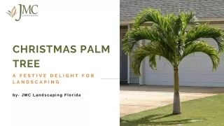 christmas palm tree