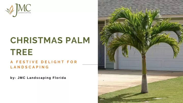 christmas palm tree