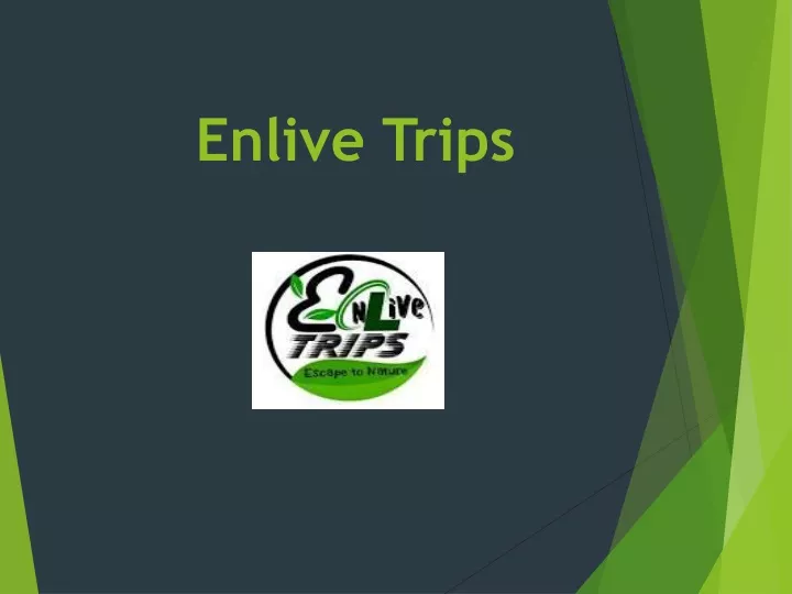 enlive trips