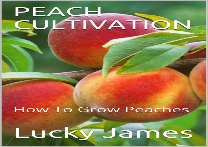 PPT - Download Book [PDF] PEACH CULTIVATION: How To Grow Peaches ...