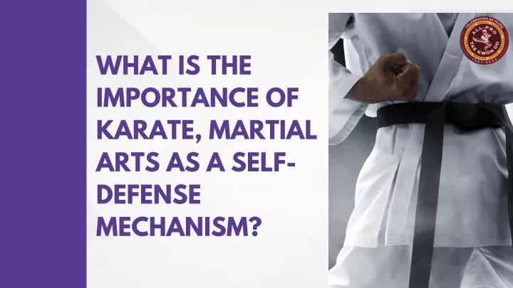 what is the importance of karate martial arts