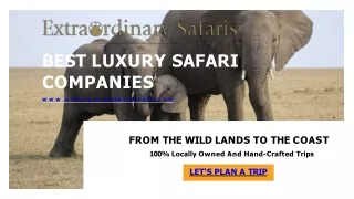 Best Luxury Safari Companies