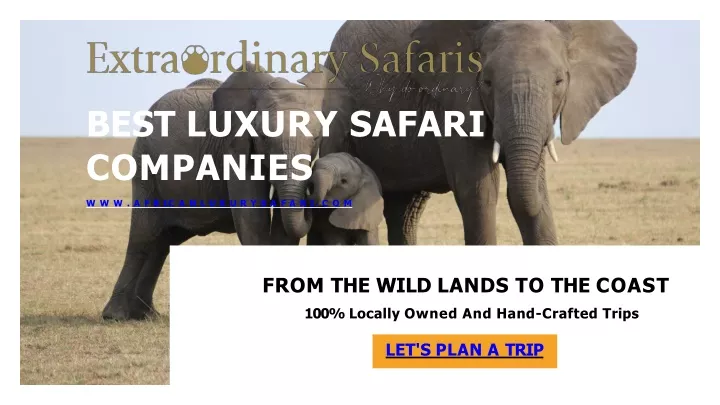 best luxury safari companies w w w a f r i c a n l u x u r y s a f a r i c o m