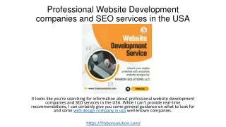 Professional Website Development companies and SEO services in usa