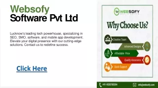 Leading SEO Company in Lucknow - Websofy Software Pvt Ltd