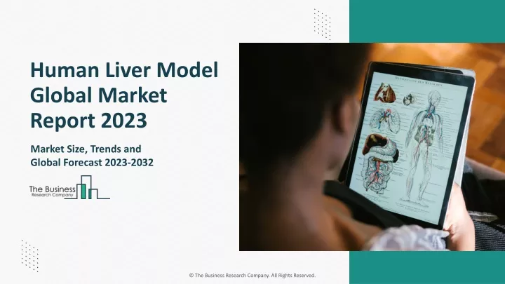 human liver model global market report 2023