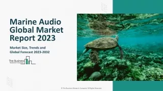 Marine Audio Market: Industry Insights, Trends And Forecast To 2032
