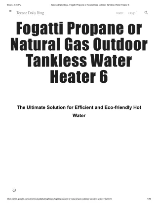 Tecasa Daily Blog - Fogatti Propane or Natural Gas Outdoor Tankless Water Heater 6