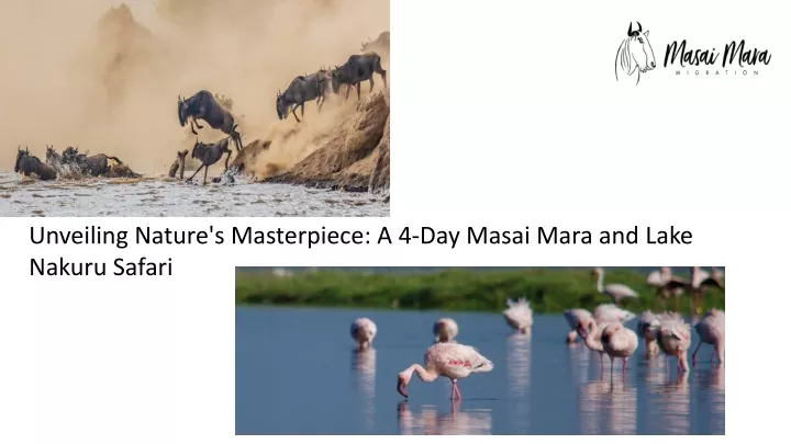 unveiling nature s masterpiece a 4 day masai mara