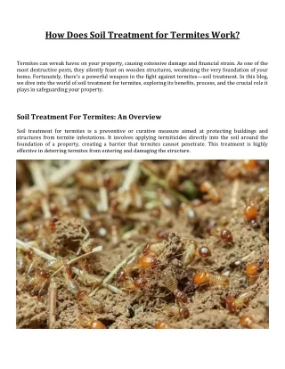 How Does Soil Treatment for Termites Work?